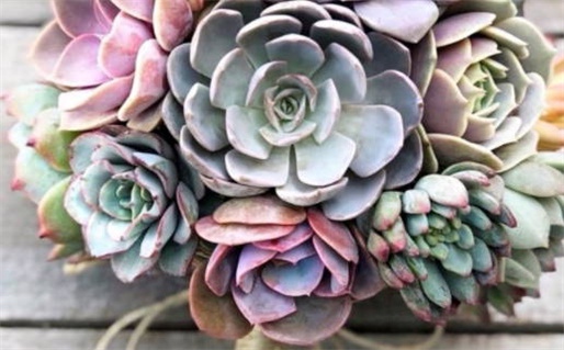 2028年08月22日出行黄历查询