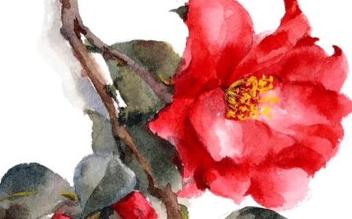 今天农历二〇二七年冬月十一黄历出门不适宜吗,出行吉日