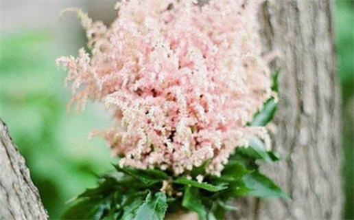 八字占卜,生辰八字怎么查,在线算命免费八字测算_免费八字在线查询