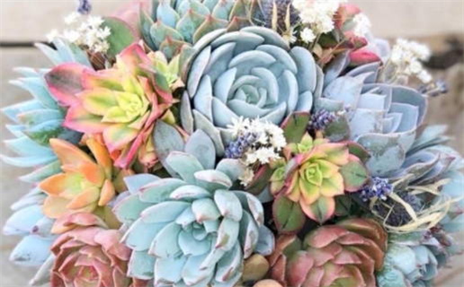 生辰八字姓名算命(生辰八字姓名算命免费测试)