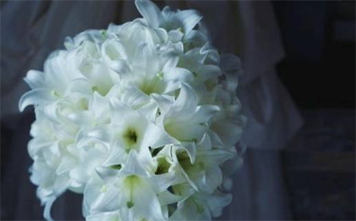 八字算命原理揭秘解析人生运势的科学依据