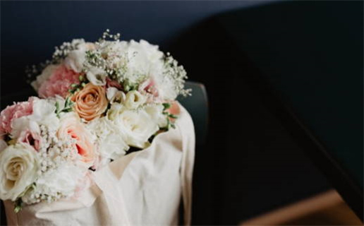 属猪的和属鼠的合婚_属猪的和属鼠的合婚吗