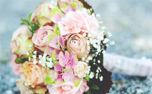 2006年出生是什么命_2006年出生是什么命五行属什么