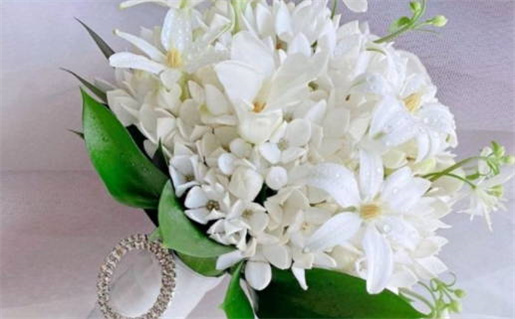 命犯桃花是什么意思(乳房有痣命犯桃花是什么意思)