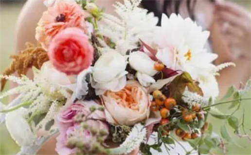 2017年属什么生肖啥命_2017年属什么生肖什么命