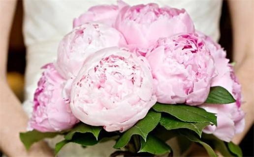 2007年五行属什么命(2007年猪五行属什么命)