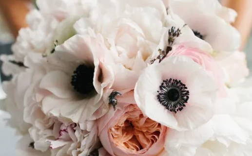 男属虎的和属鼠女相配吗(男属虎的和属鼠女相配吗婚姻如何)