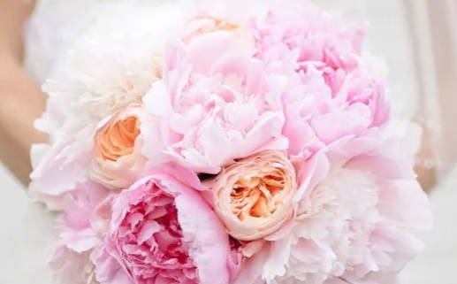 1990属马人的命运解析及性格特点