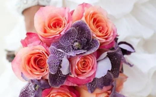 双子座女是真的没心吗(双子座女生没有真心朋友吗)