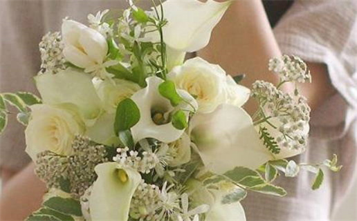 属猴11月出生是什么命(属猴11月出生是什么命运)