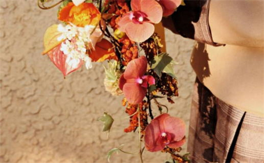 免费算命生辰八字测算(免费算命生辰八字测算星辰)