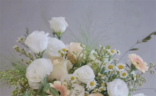 明年的鼠宝宝是什么命(明年的鼠宝宝是什么命运)