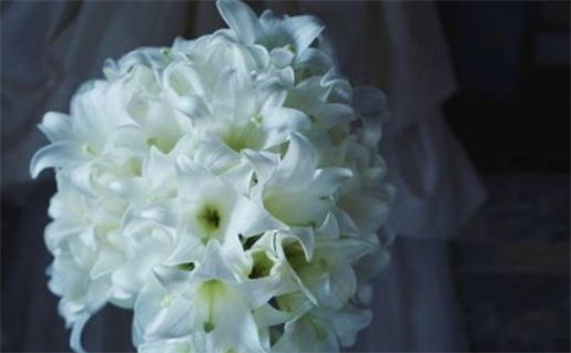 周易算命生辰八字取名(周易算命生辰八字取名免费)