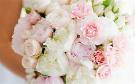 命主廉贞是什么意思(紫微斗数命主廉贞是什么意思)