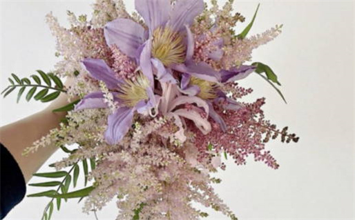 紫微排盘(紫微排盘免费排盘)