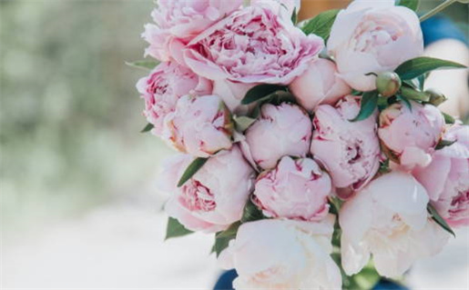 1996属鼠什么命_1996属鼠什么命?