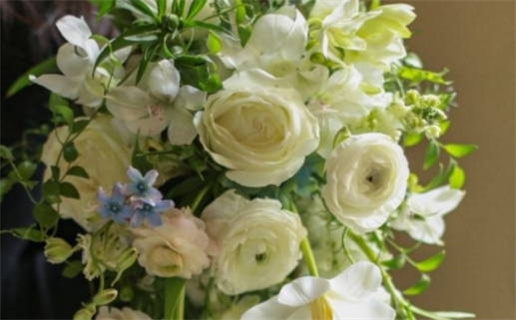 属鼠人2023年添丁吉兆解析与注意事项