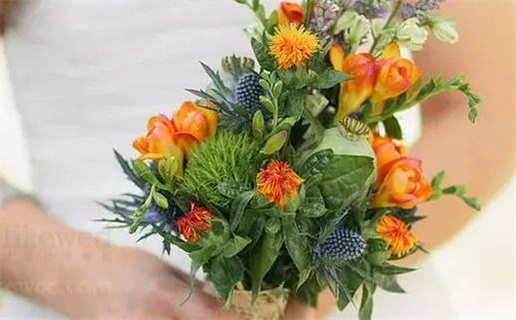 属马11月出生是什么命_属马11月出生是什么命运