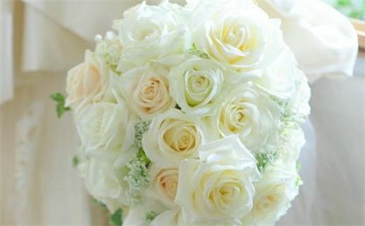 46岁属什么生肖什么命(46岁属什么生肖是什么命)