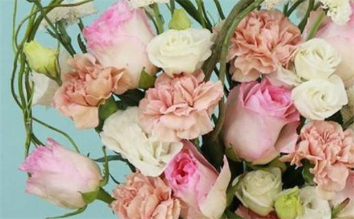 1986年虎什么命(1986年虎什么命五行属什么)