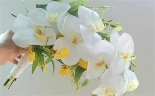 丁日戌月出生的八字命理解析与运势分析