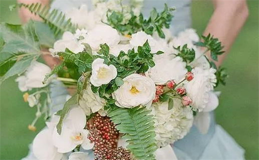 怎么学习生辰八字算命(如何学会八字算命)