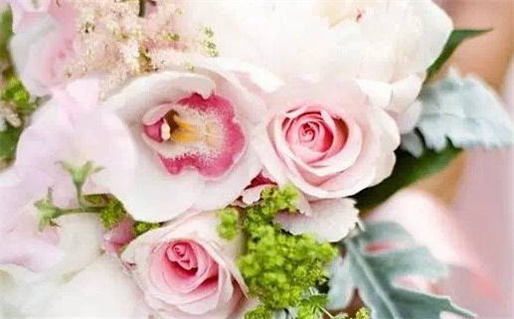 2019什么生肖犯太岁_2019什么生肖犯太岁?