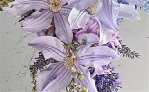 属鼠男最佳十二生肖配对指南