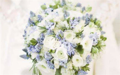 公历12月属鼠的命运(公历12月属鼠的命运如何)