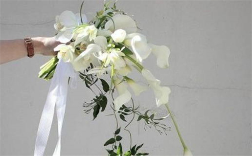 栀字起名宜忌五行笔画解析及名字寓意揭秘