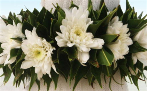 姓名生辰八字算命怀孕_姓名生辰八字算命怀孕怎么算