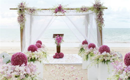 2011年五行属什么命(2011年兔五行属什么命)