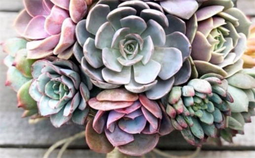 农历八字算命婚姻配对_农历八字算命婚姻配对详解