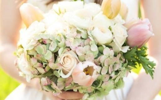 二月份出生狗的命运分析与性格特点解析