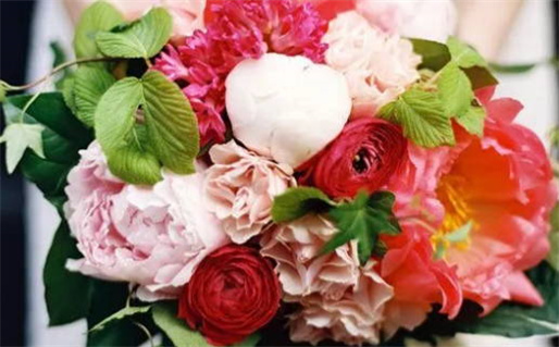 1989属蛇什么命_1986年属虎什么命