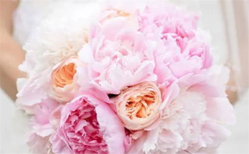 2000年是什么命_2000年是什么命五行属什么命