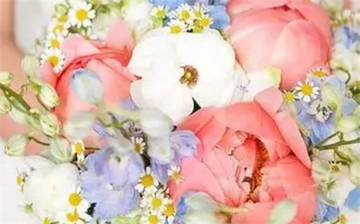 2019年流年犯太岁生肖解析及化解方法