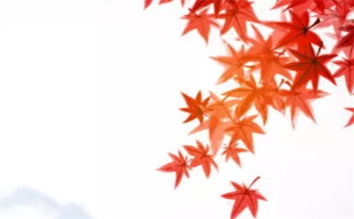 今天2036年01月13日开工老黄历不适合吗,农历二〇三五年腊月十六动土日子