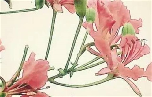 今日万年历2033年12月29日开工的好日子,动土吉日