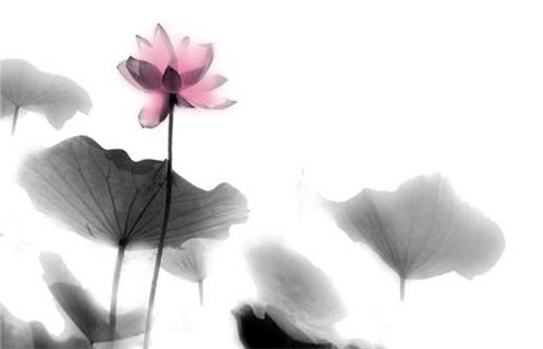 2026年07月23日不适宜动土吗,这天动土合适吗