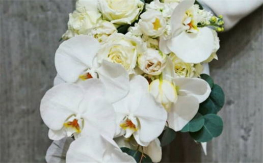 农历二〇三〇年六月二十黄历完婚不适合吗,结婚吉日查询