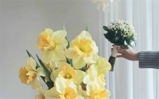 农历二〇二九年十月廿七黄历不适宜完婚吗,结婚好日子有哪些