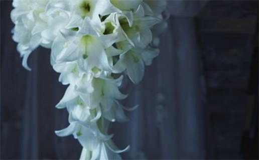 2027年01月26日老黄历适合嫁娶吗