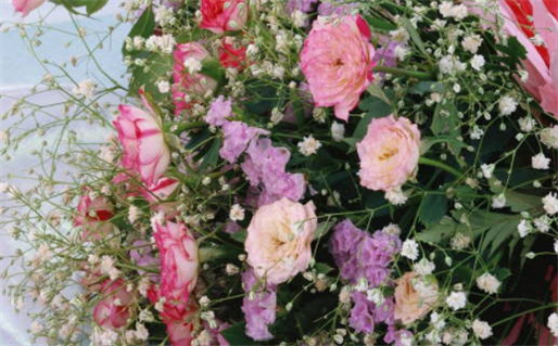 2031年01月11日结婚黄历查询