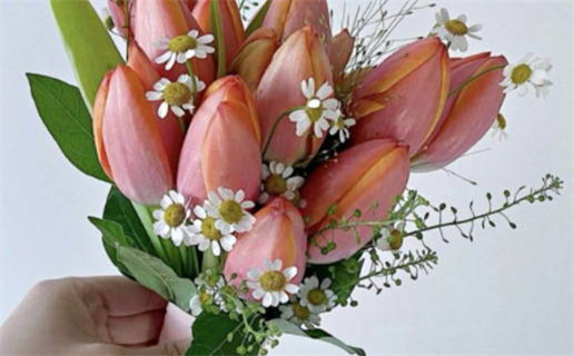 2033年09月12日领证黄历查询 2033年09月12日领证黄历查询