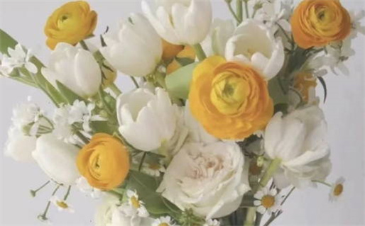 2029年09月29日不适宜领取结婚证吗,领证吉日查询