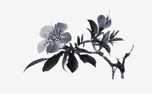 2033年09月30日乔迁指南：宜忌事项与适宜性分析