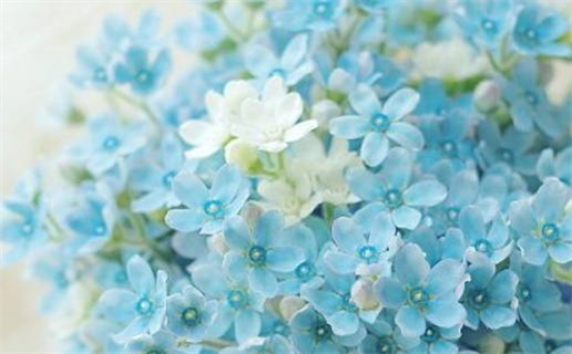 农历二〇二七年二月十二黄历不推荐搬新家吗,乔迁好日子查询