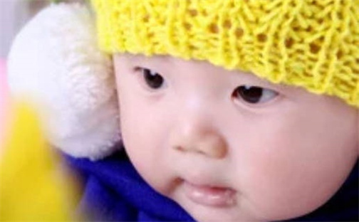 张姓男孩子取名