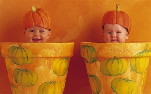 王姓2026年04月13日出生的女孩子命理分析与起名攻略